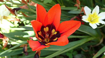 p4280105_thumb.jpg
