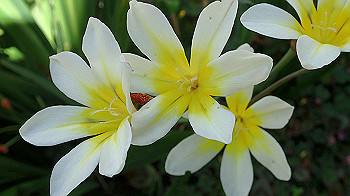 p4280106_thumb.jpg