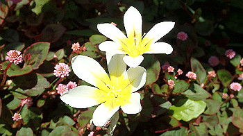 p4280107_thumb.jpg