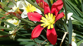 p4280108_thumb.jpg