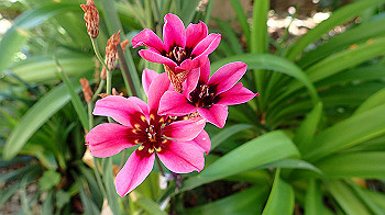 p4280110_thumb.jpg