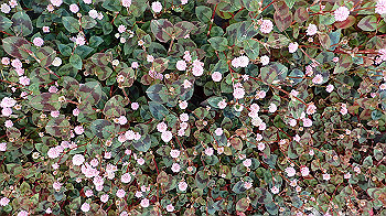 p4280111_thumb.jpg