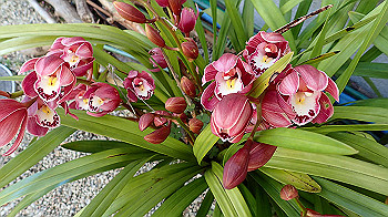 p4280113_thumb.jpg