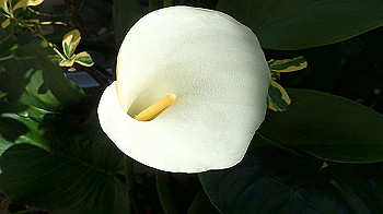 p4280118_thumb.jpg