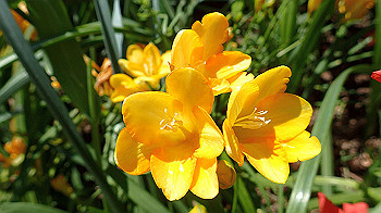 p4280131_thumb.jpg