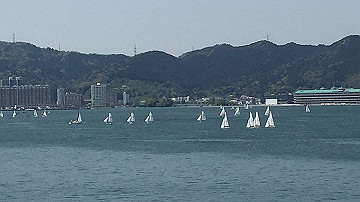img_7593_thumb.jpg