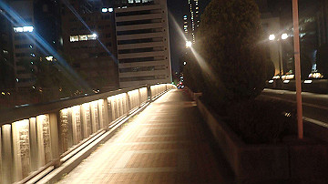 p4300213_thumb.jpg