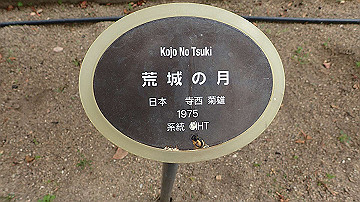 p5030236_thumb.jpg