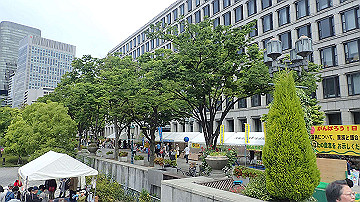 p5030253_thumb.jpg