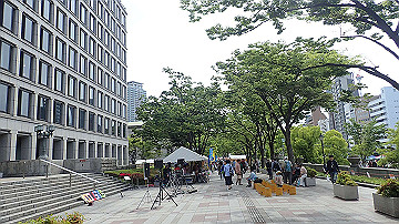 p5030256_thumb.jpg