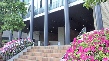 p5030269_thumb.jpg