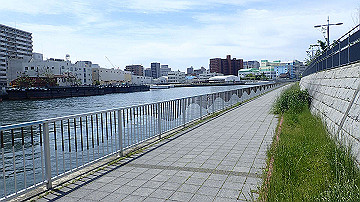 p5030300_thumb.jpg