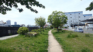 p5030316_thumb.jpg