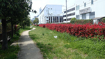 p5030317_thumb.jpg