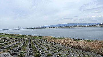 p5030348_thumb.jpg