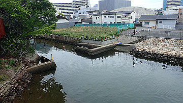 p5030353_thumb.jpg