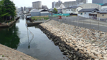 p5030354_thumb.jpg