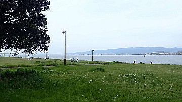 p5030370_thumb.jpg