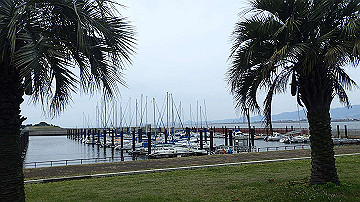 p5030376_thumb.jpg