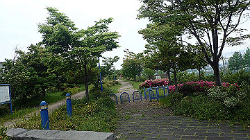 p5030399_thumb.jpg
