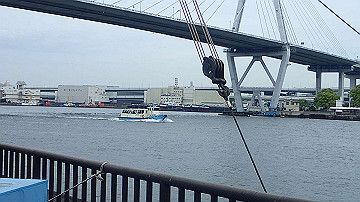 p5030443_thumb.jpg