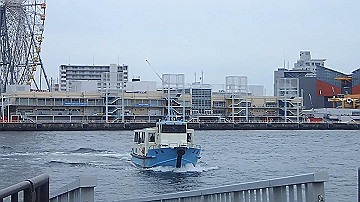 p5030445_x264.mp4_thumb.jpg