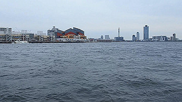 p5030447_x264.mp4_thumb.jpg