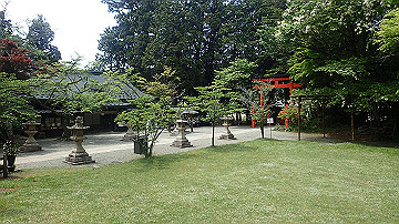 p5110540_thumb.jpg