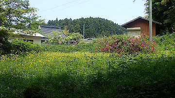 p5110552_thumb.jpg