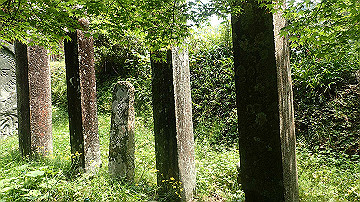 p5110558_thumb.jpg
