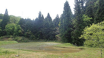 p5110564_thumb.jpg