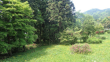 p5110566_thumb.jpg