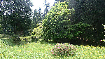 p5110568_thumb.jpg