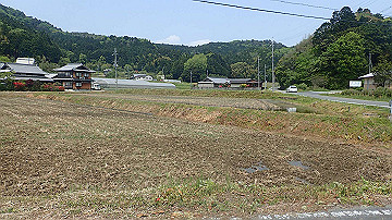 p5110580_thumb.jpg