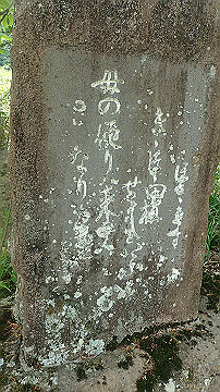 p5110585_thumb.jpg