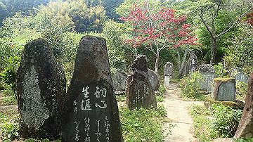p5110587_thumb.jpg