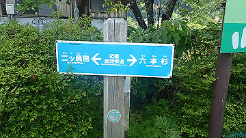 p5110590_thumb.jpg