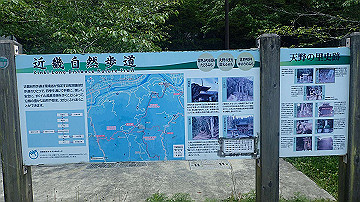 p5110595_thumb.jpg