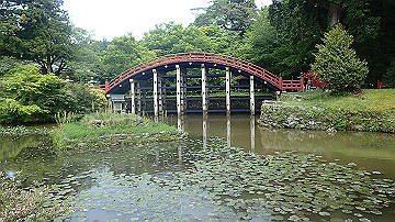 p5110599_thumb.jpg