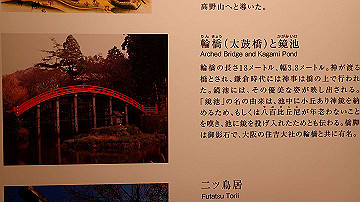 p5110613_thumb.jpg