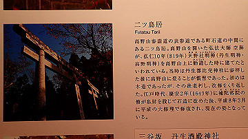 p5110614_thumb.jpg