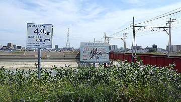 p5160526_thumb.jpg