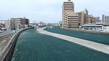 p5160533_thumb.jpg