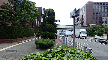 p5160548_thumb.jpg