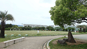 p5160560_thumb.jpg