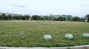 p5160561_thumb.jpg