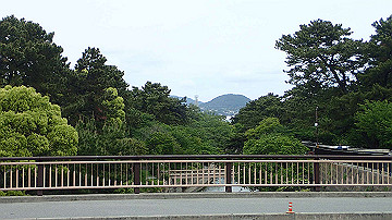p5160565_thumb.jpg