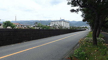 p5160569_thumb.jpg