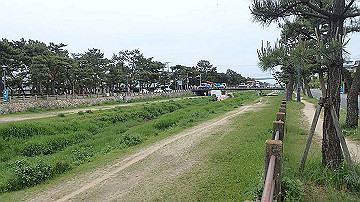 p5160571_thumb.jpg