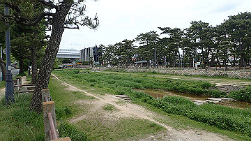 p5160572_thumb.jpg